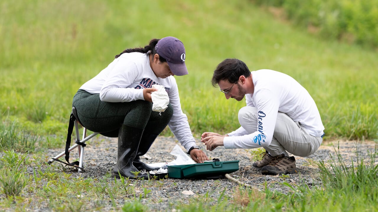 Students participate in field work research for birds.