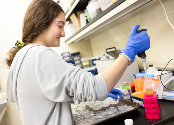 Student conducts an experiment in a classroom lab environment.