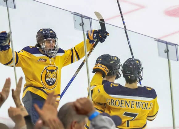 Ice hockey players celebrate on the ice.