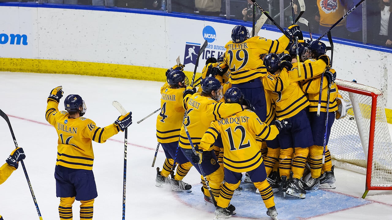 Men's Ice Hockey celebrate a  goal on the ice