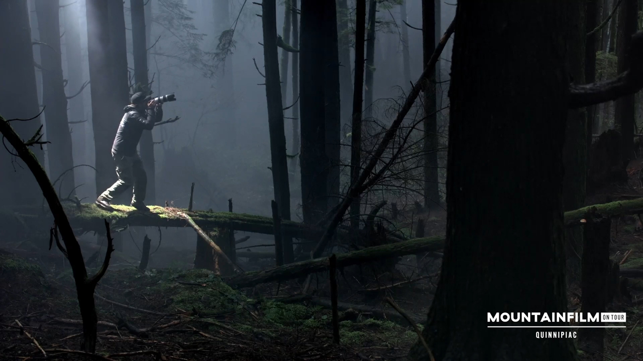 Person walks in woods with camera