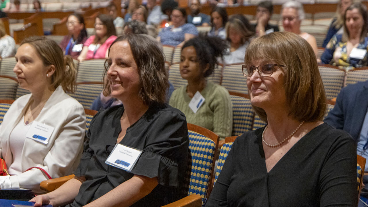 Participants listen to speakers