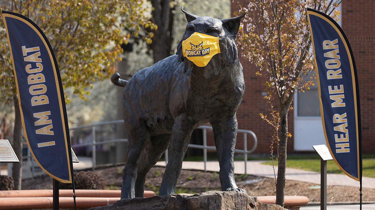 A Bobcat celebrates Bobcat Day.