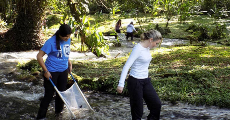 Students explore the environment