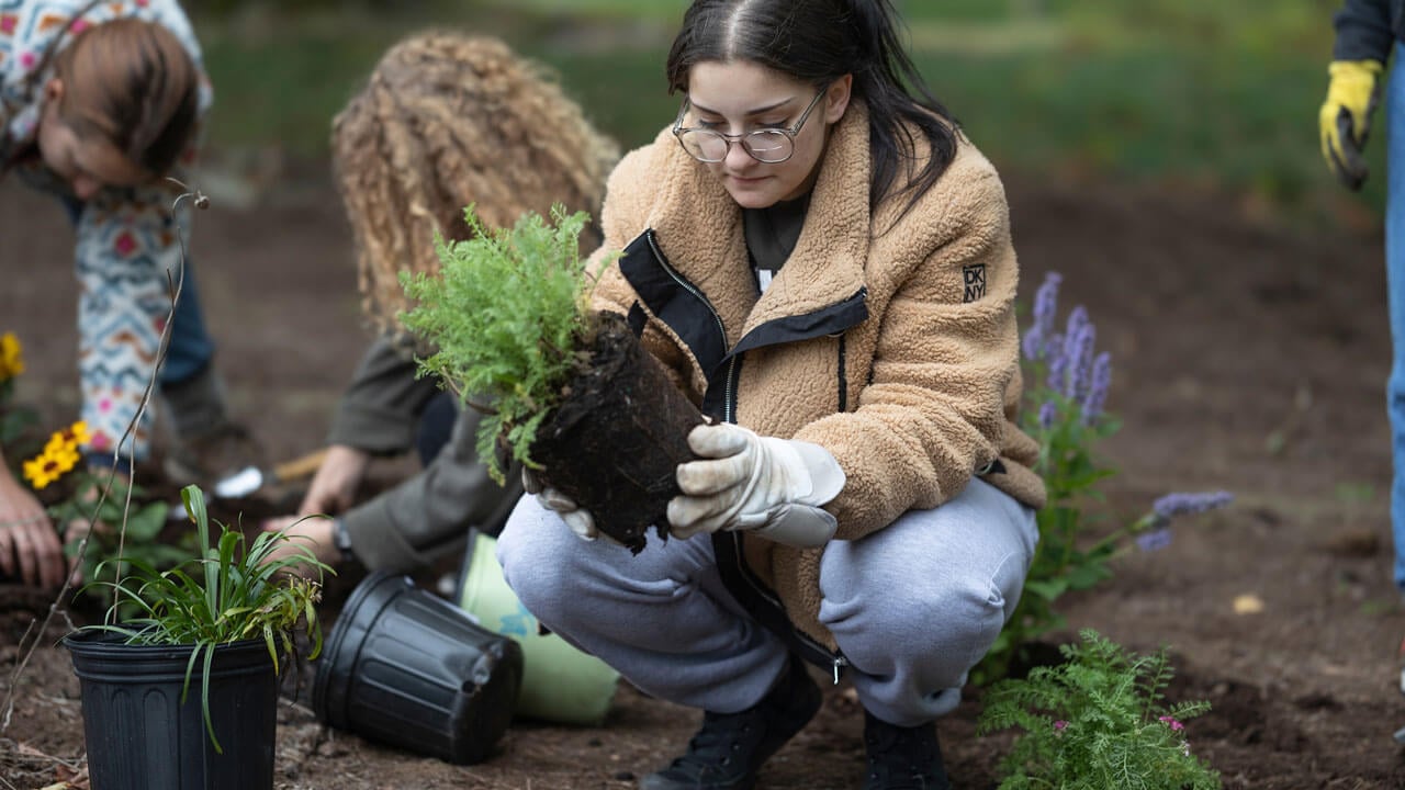 Girl sitting and planting shrubbery in the soil