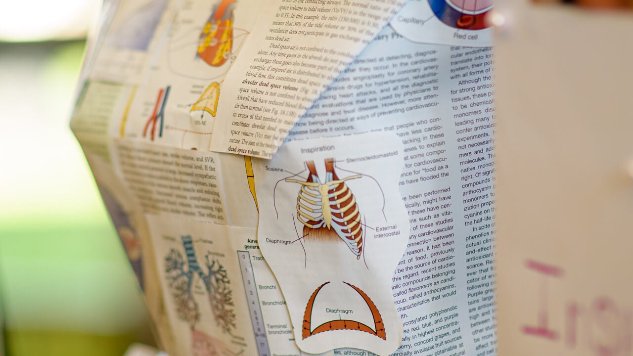 A close up of a dress bust made of anatomy textbook pages