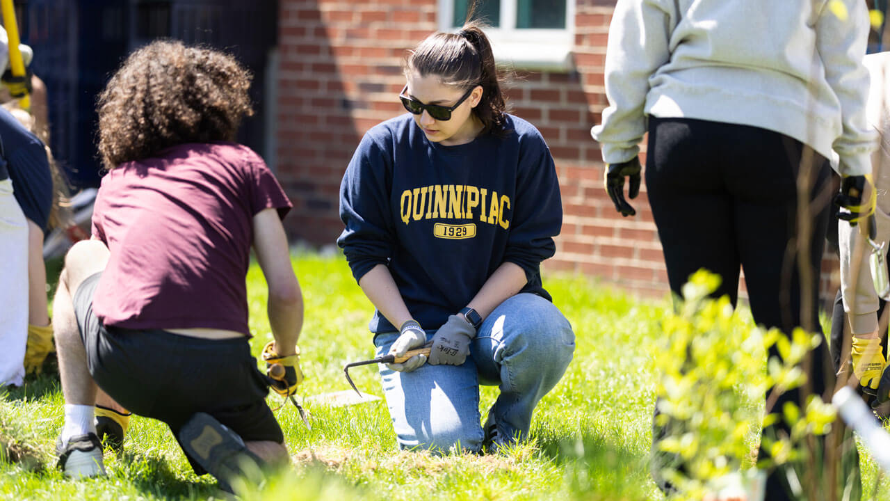 Quinnipiac student bends down to garden