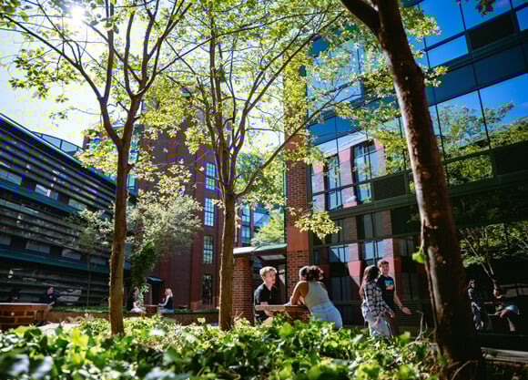 Students sit at tables or walk together under a canopy of trees in The Grove courtyard