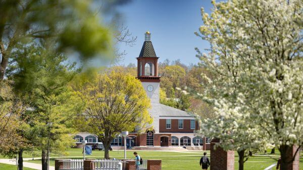The Arnold Bernhard Library clock tower is seen through flowering trees on a spring day.