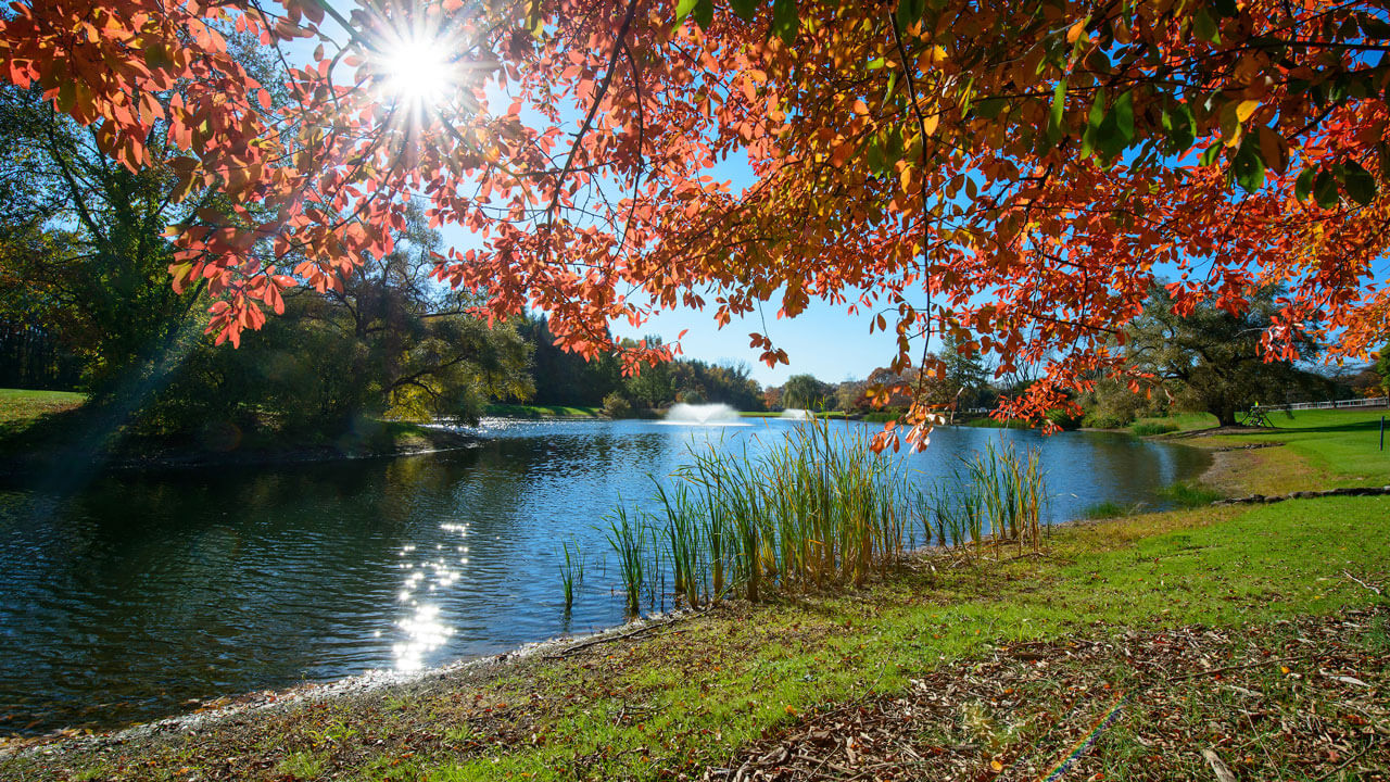 Orange leaves cascading over North Haven Lake