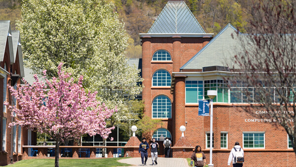 Students enter and exit Quinnipiac buildings on a sunny spring day with flowering trees