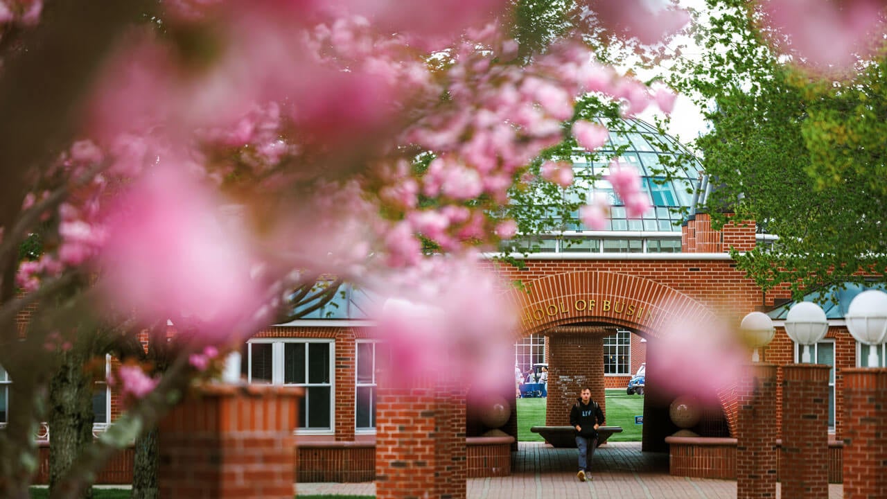 Cherry trees in front of School of Business