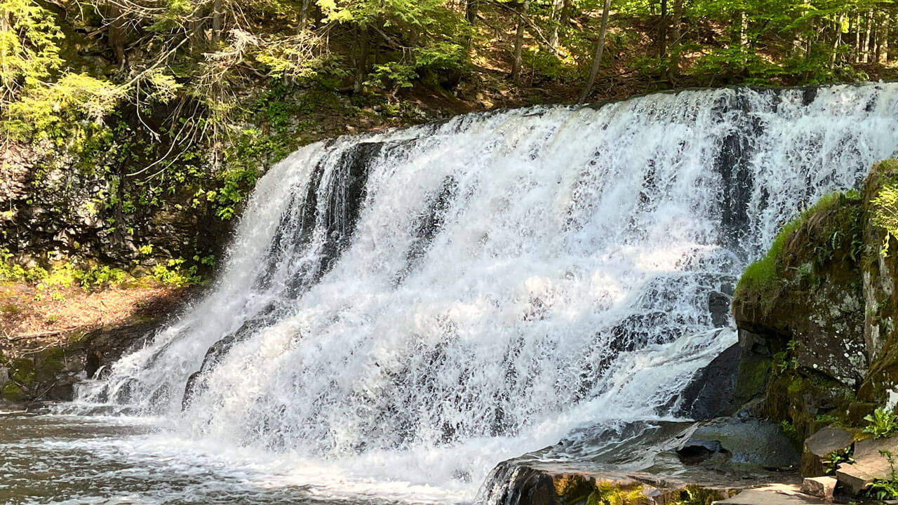 Waterfall and greenery