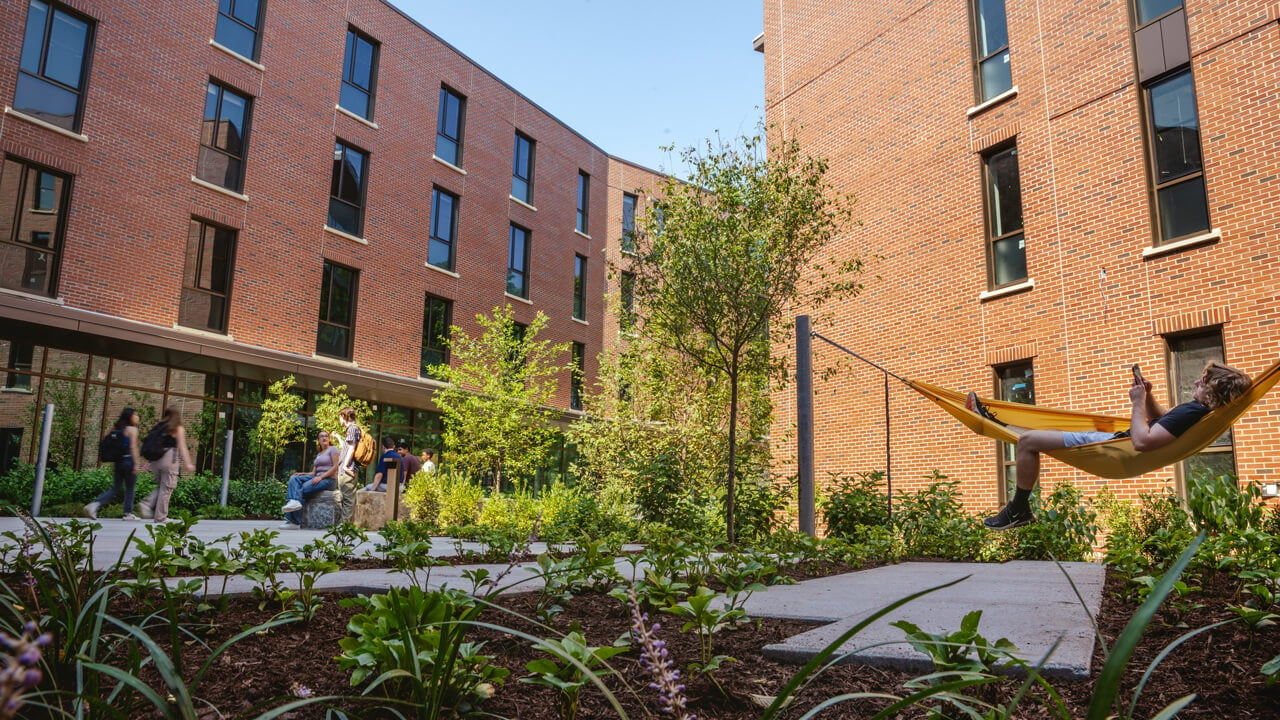 Students walk around outside