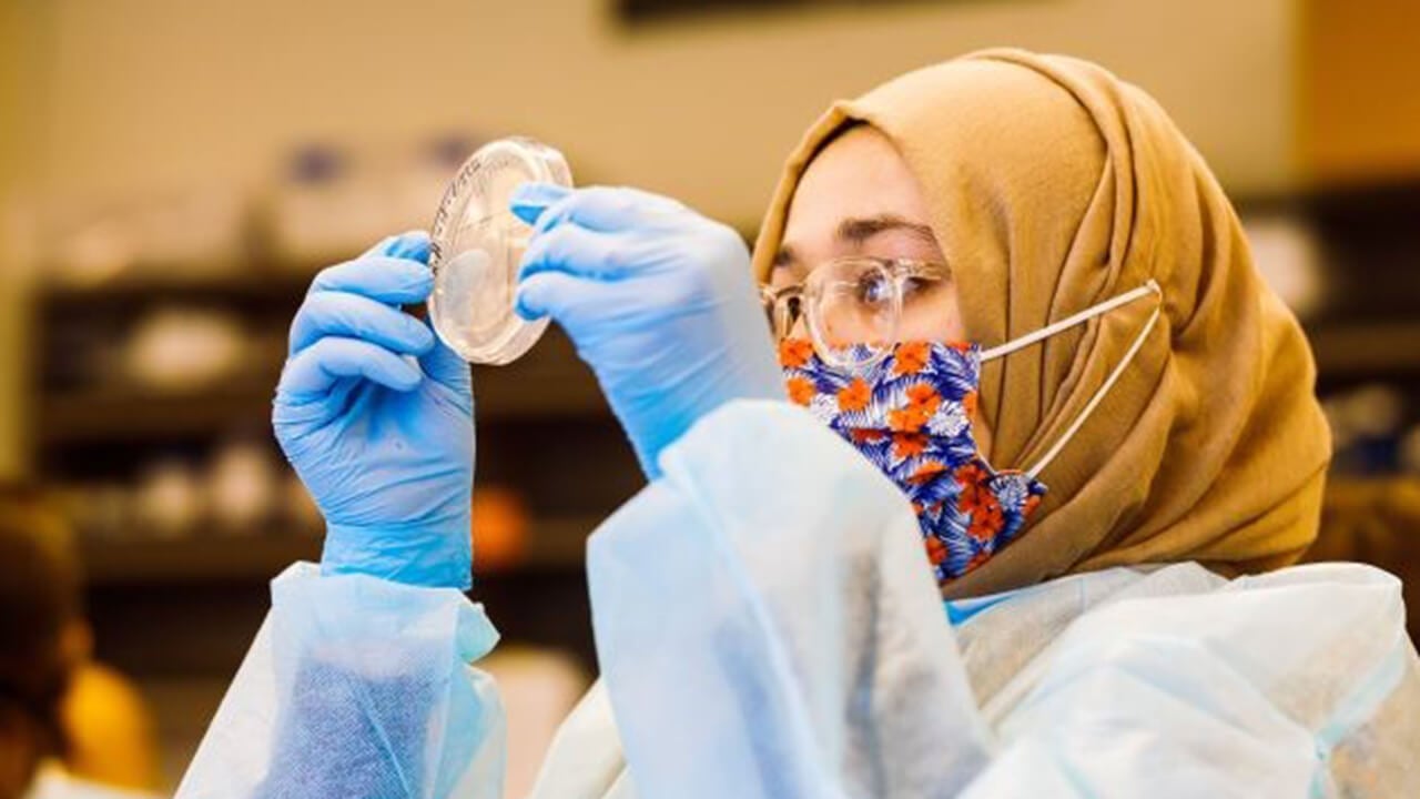 A student does lab work.