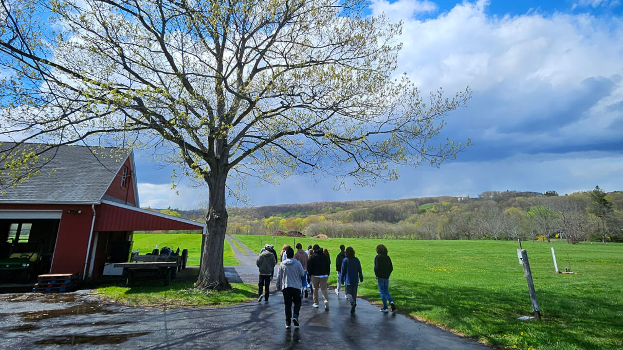 A shot from behind of several students walking on a driveway next to a barn, with a hilly green field in the background.