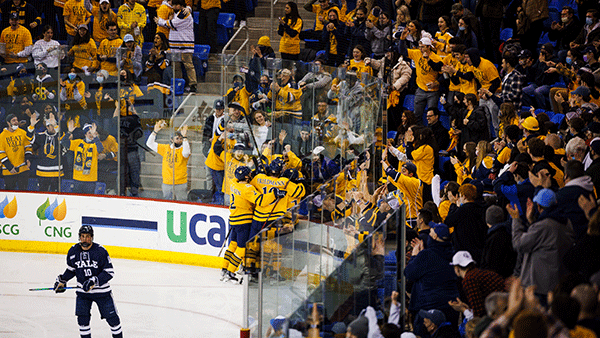 Quinnipiac VS Yale Hockey game