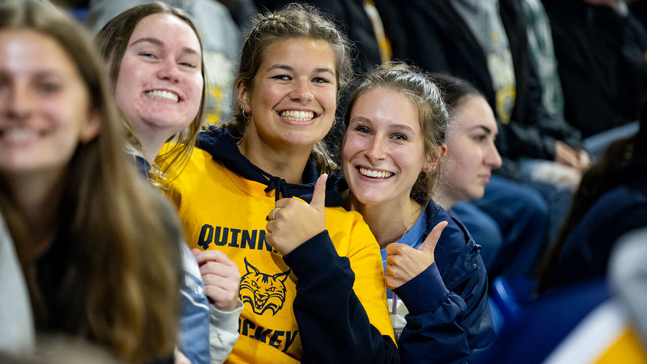 Students cheer with one another in the stands