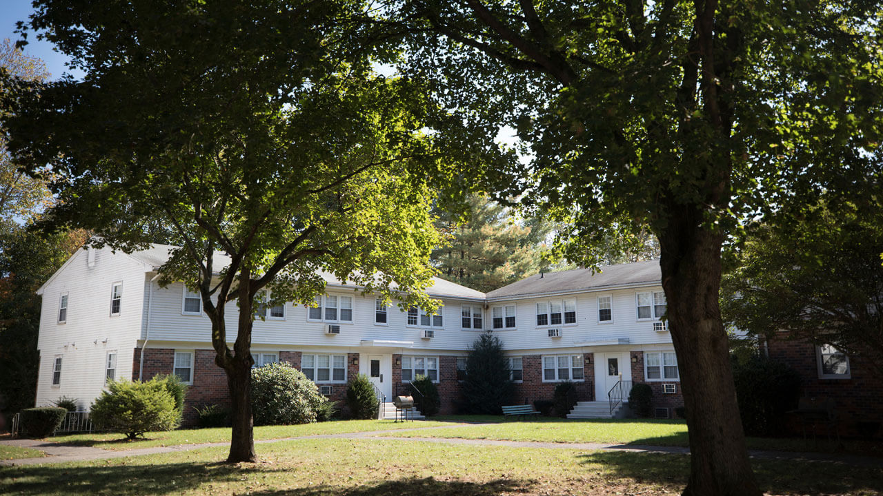 Trees cascading in front of Whitney Village apartment complex