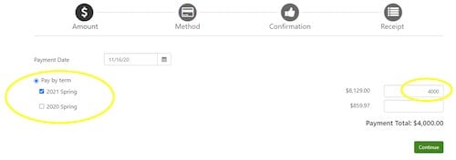 Select the term that to pay and enter the desired dollar amount.