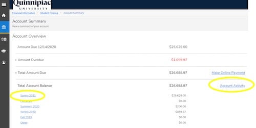 Account Summary page will display the current overall balance due as well as any overdue balances and balances by term