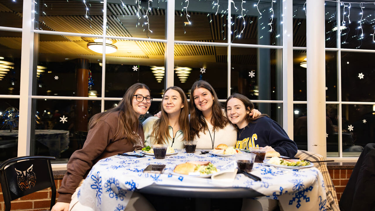 Students sitting together with snowflakes behind them and dressed in Quinnipiac gear