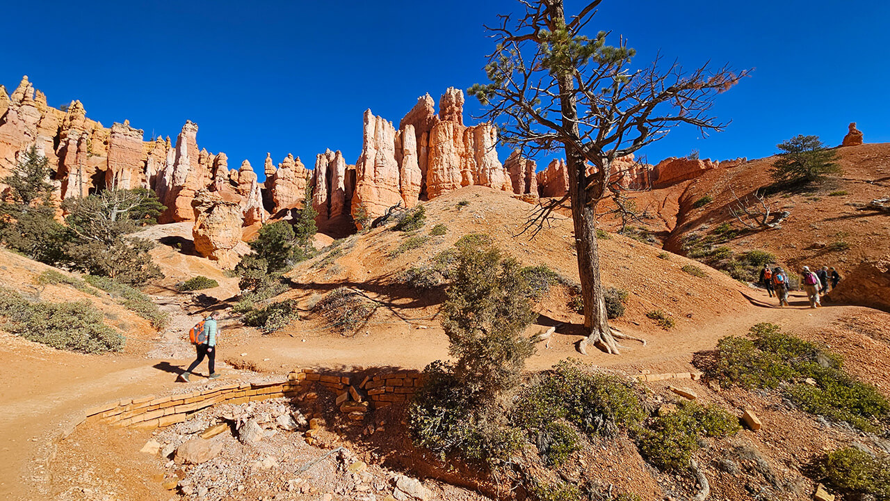 Quinnipiac students walk through Utah National Park
