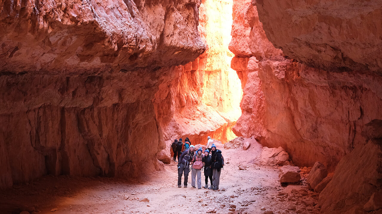 Students pose in front of beam of sunlight