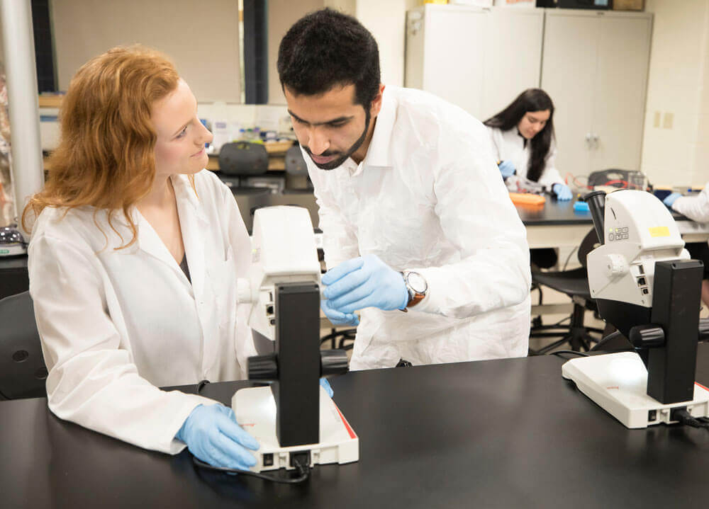 Students study samples under a microscope during a laboratory procedure