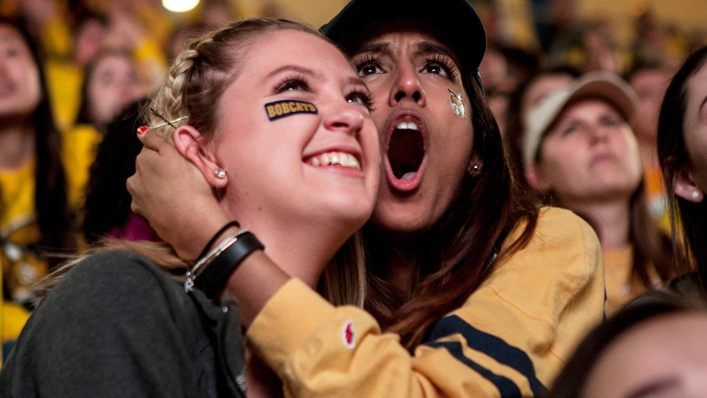 Fans at a hockey game