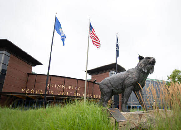 Bobcat statue on the York Hill Campus