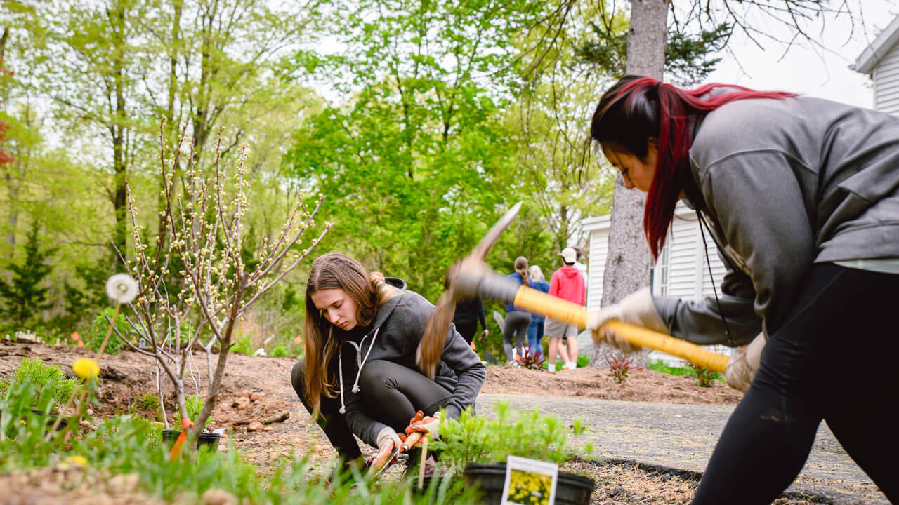 Students plant and remove debris or rocks