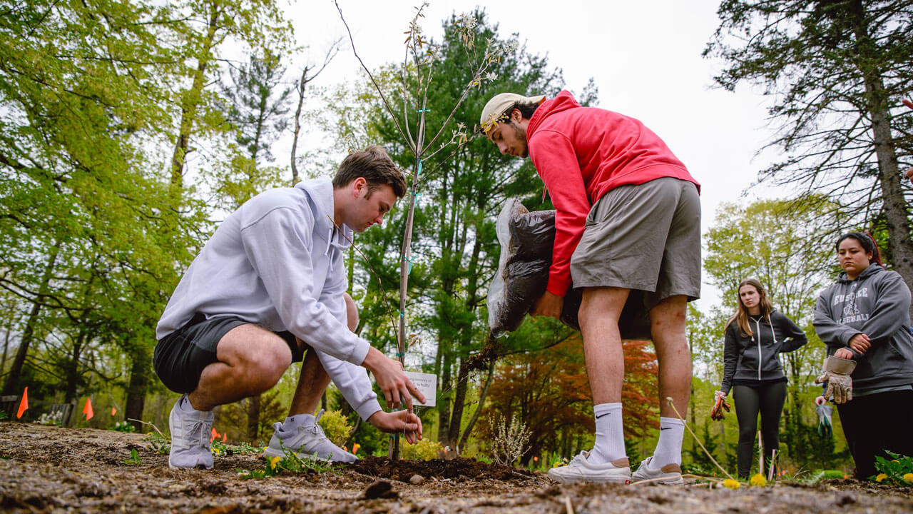 Students add soil