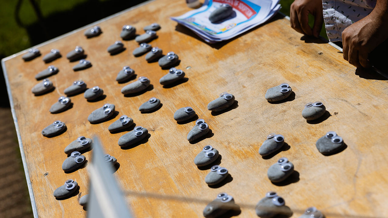 Tyler Gorman displays his pet rocks at the Quad pop-up-shop event