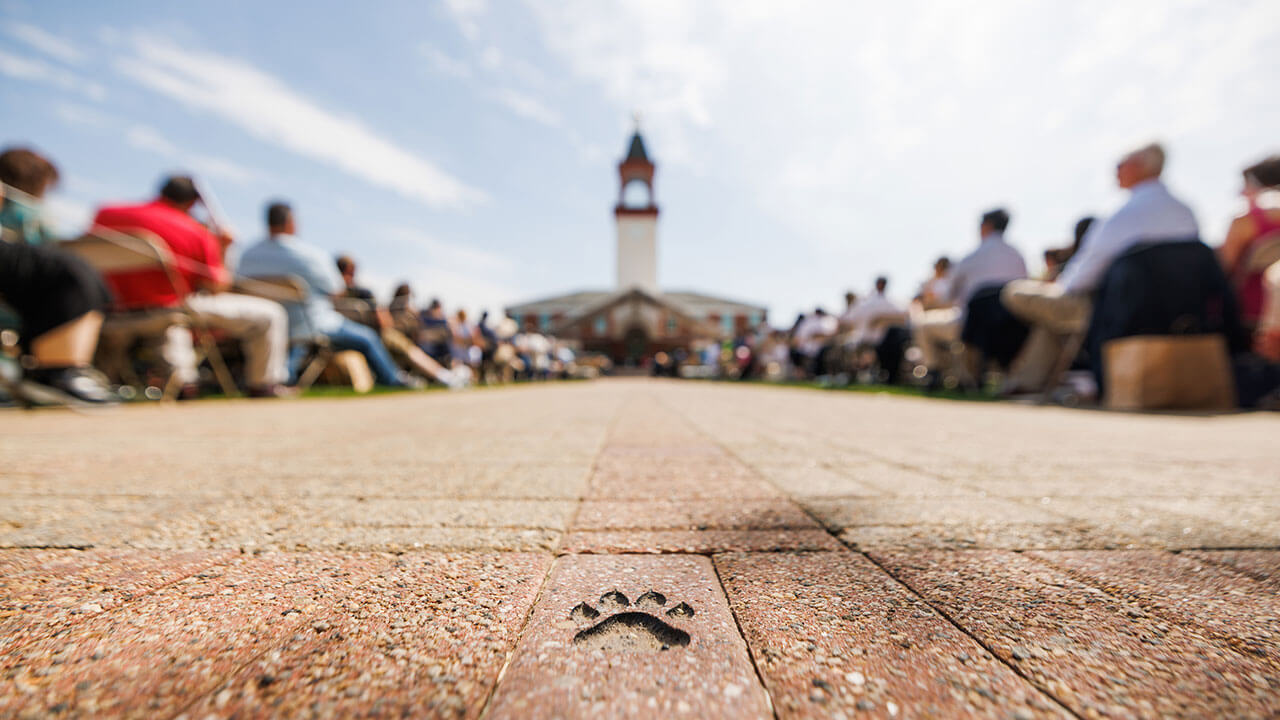 paw print engraved in bricked walkway, library clock tower out of focus