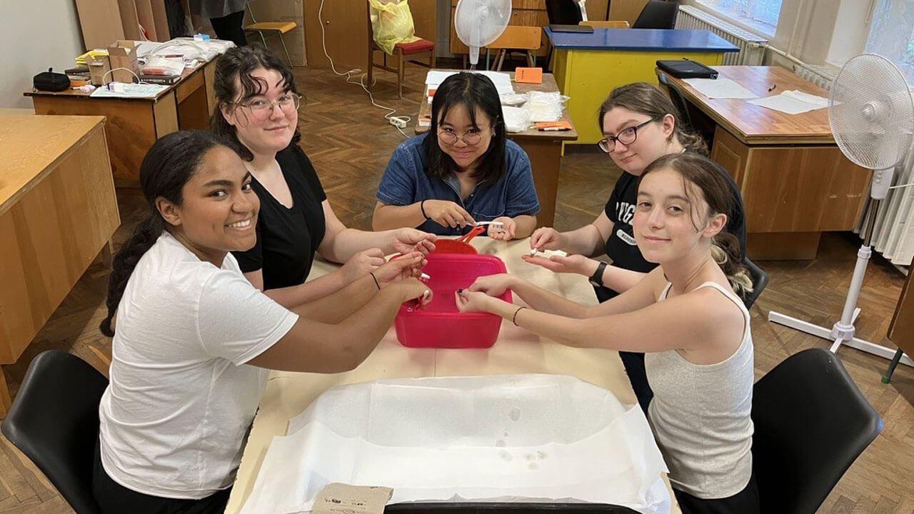 Students dust off the artifacts they are observing