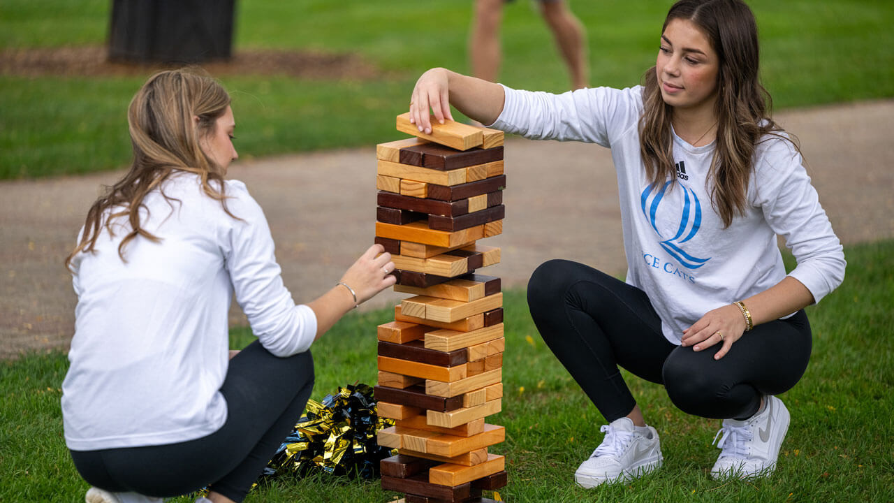 Ice Cats play lawn Jenga