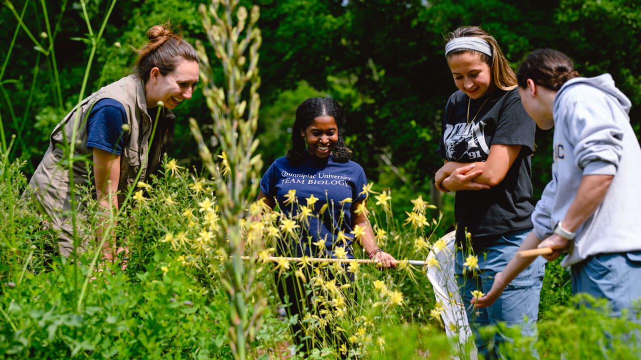 Students in grass field holding nets