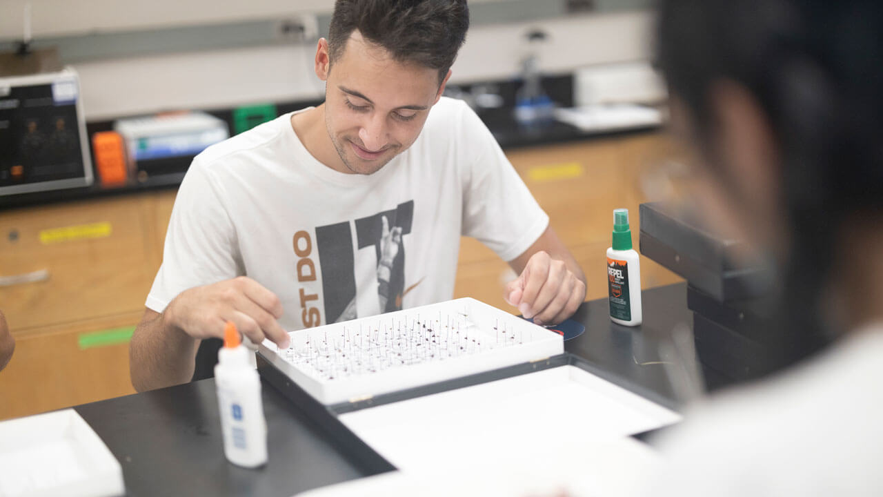 Student analyzing ecological samples