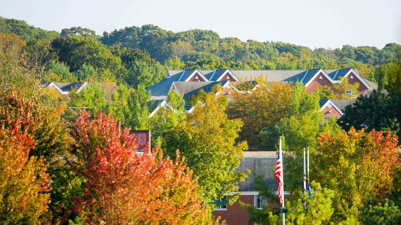 Aerial view of trees on Mount Carmel campus  in the fall