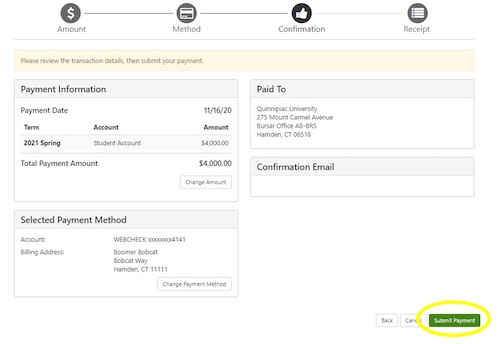 Review Account Payment and click Submit Payment.