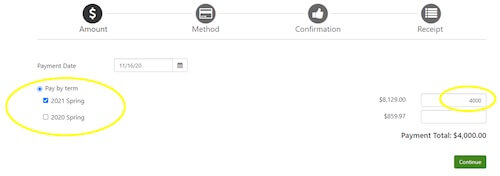 Select the term that to pay and enter the desired dollar amount.