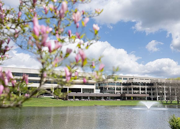 The North Haven Campus in the Spring