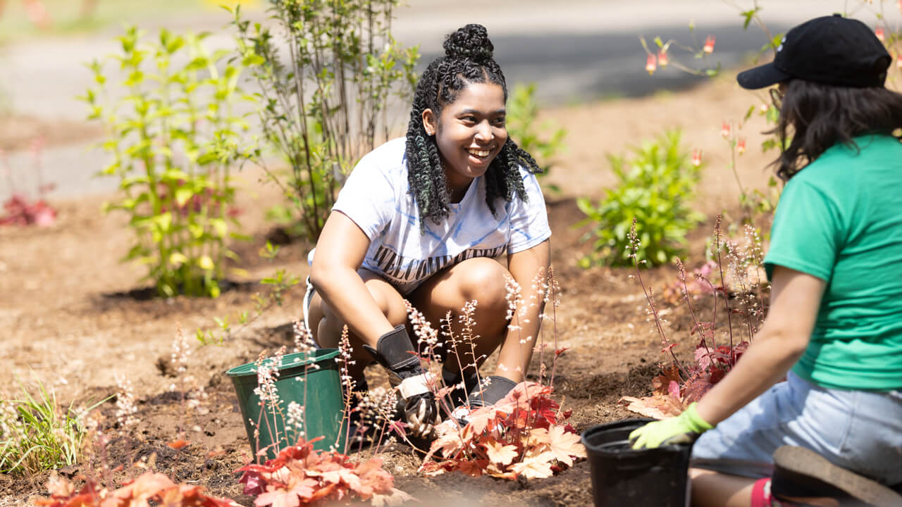 Quinnipiac students planting flowers and other plants in the beginning stages of the pollinator garden.