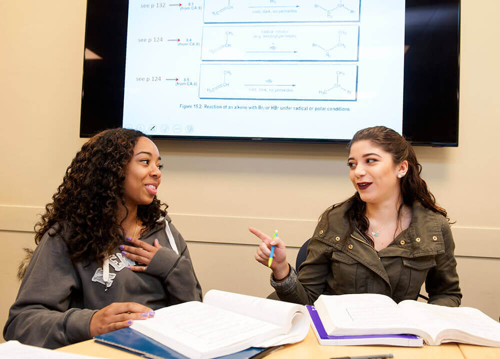 Two chemistry students collaborate on a project with textbooks open