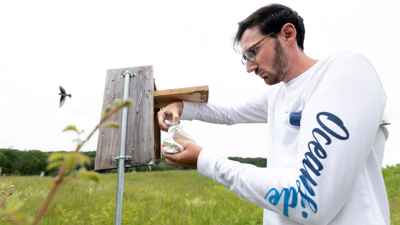 Student handling baby birds during a field-study.