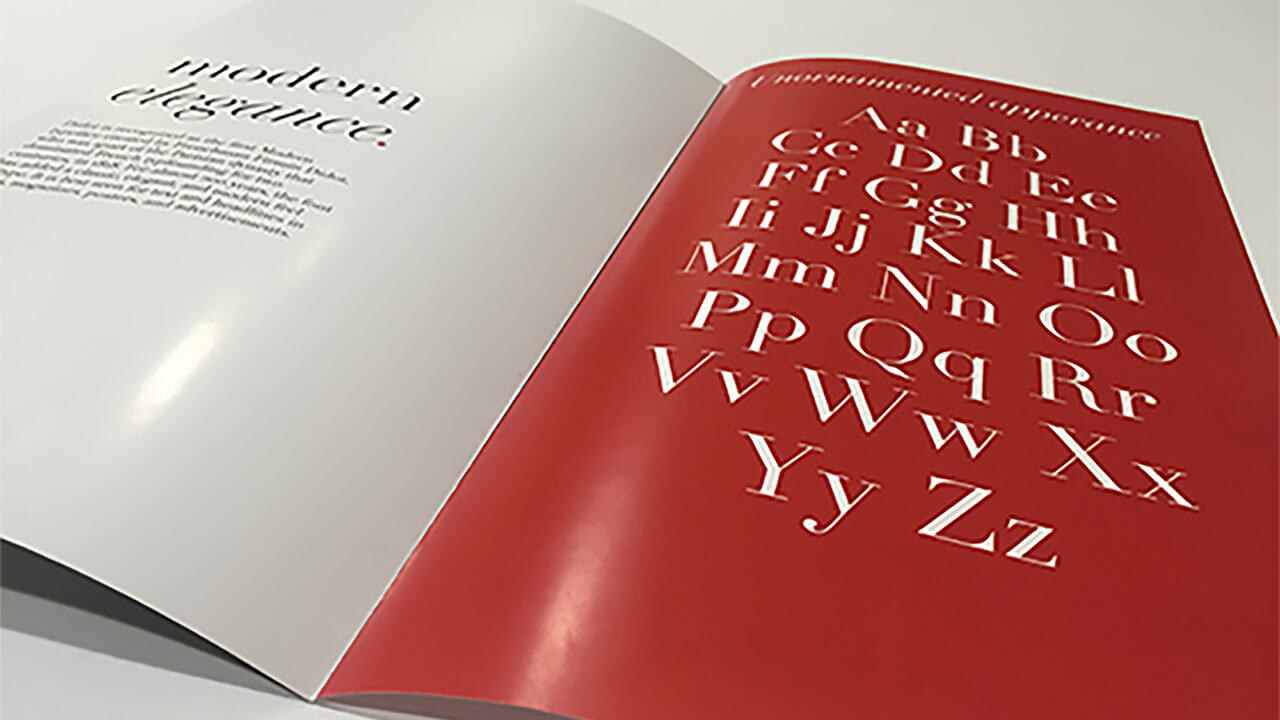 An example of a typography treatment spread with various typefaces