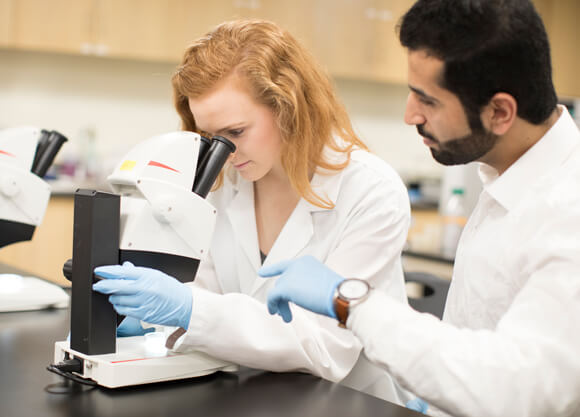 Two students in their white coats examining a specimen under their microscope in a lab.