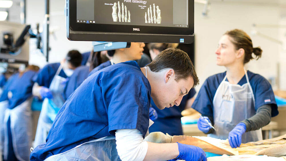 Three medical students examine a cadaver in the anatomy lab