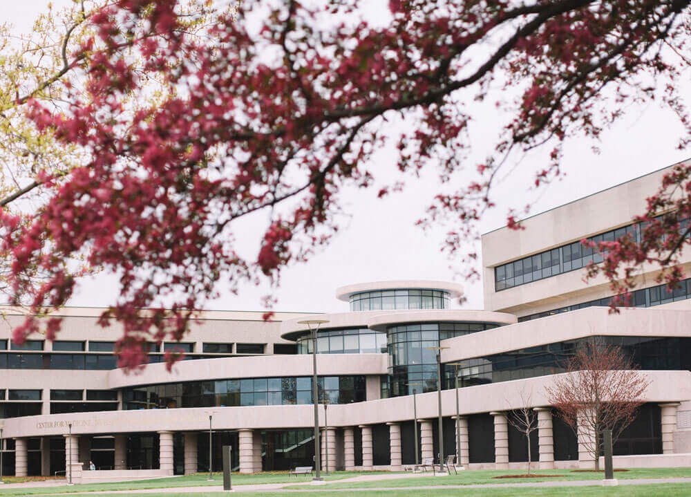 Spring trees blossom outside the Quinnipiac Center for Medicine